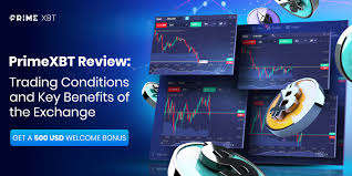 Unlocking the Potential of Trading on the Go PrimeXBT for Tablets