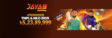 A Comprehensive Guide on How to Bet on Cricket
