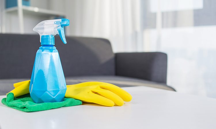 House cleaning prevent the Flu from spreading in home