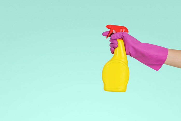 How to clean for a healthy, Germ-Free home?