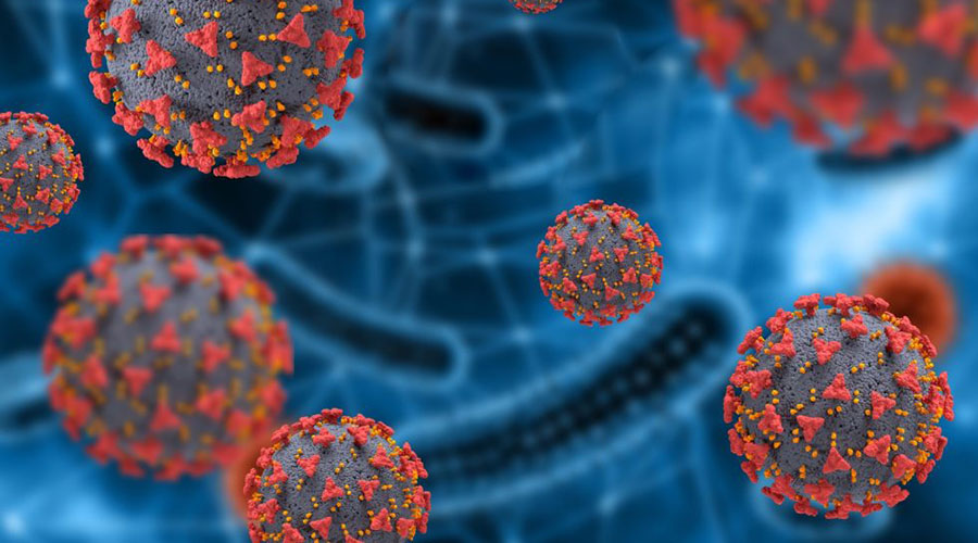 Thailand Is Trying To Make Vaccine Of Coronavirus