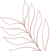 shape4