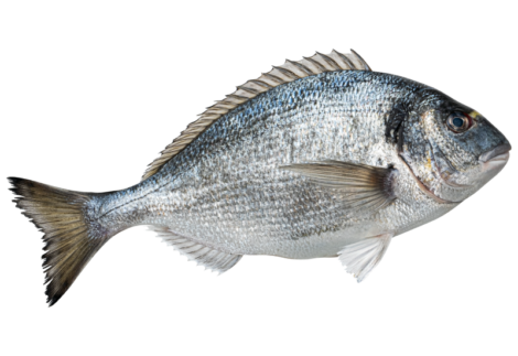 Wild Caught Pacific Cod Fillet Portions, 1 lb (Frozen)