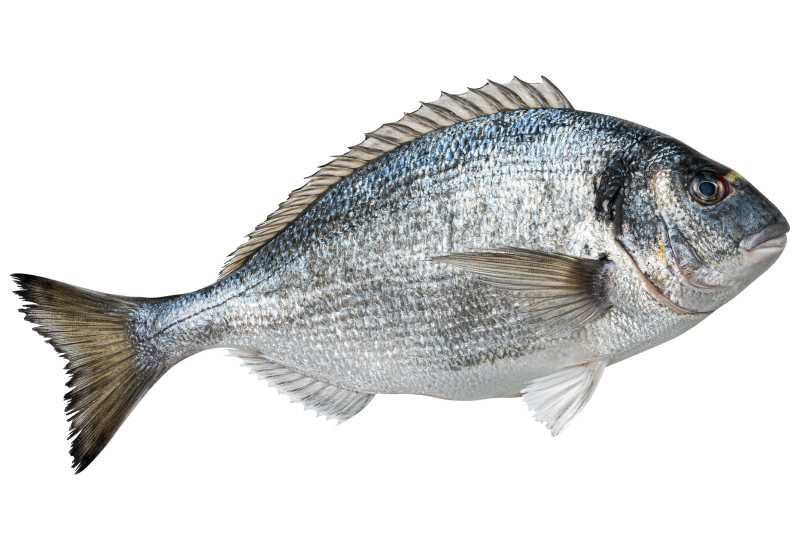 Wild Caught Pacific Cod Fillet Portions, 1 lb (Frozen)