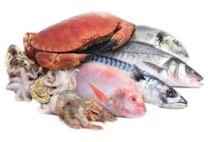 Essential Atlantic Salmon Portions 2-portions