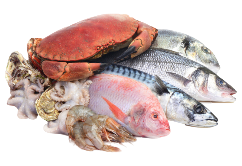 Essential Atlantic Salmon Portions 2-portions