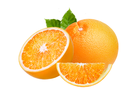Juicy USA River Florida Navel Oranges Grove Fresh 2 Trays
